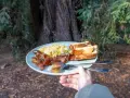 A plate of scrambled eggs, crispy bacon, and toasted bread, a delicious breakfast showcasing some great camping hacks for enjoying a hearty meal outdoors.