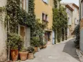 Charming street in a vakantiepark Provence, with ivy-covered buildings, potted plants, and blue shutters.