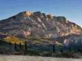 The majestic Sainte Victoire mountain range bathed in golden sunlight, with cypress trees standing tall in the foreground.