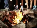 Marshmallows toasting over a campfire, perfect for camp fire songs and sweet memories.