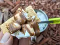 A hand holds a graham cracker topped with melted marshmallows and chocolate, ready to be assembled into a s'more. A pan of marshmallows is visible in the background.