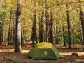 A green tent sits in a forest clearing, surrounded by trees with autumn leaves. This scene evokes the feeling of visiting one of the best national parks to visit in October.