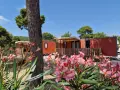 Bright orange mobil home units nestled among trees, with a foreground of blooming pink flowers.