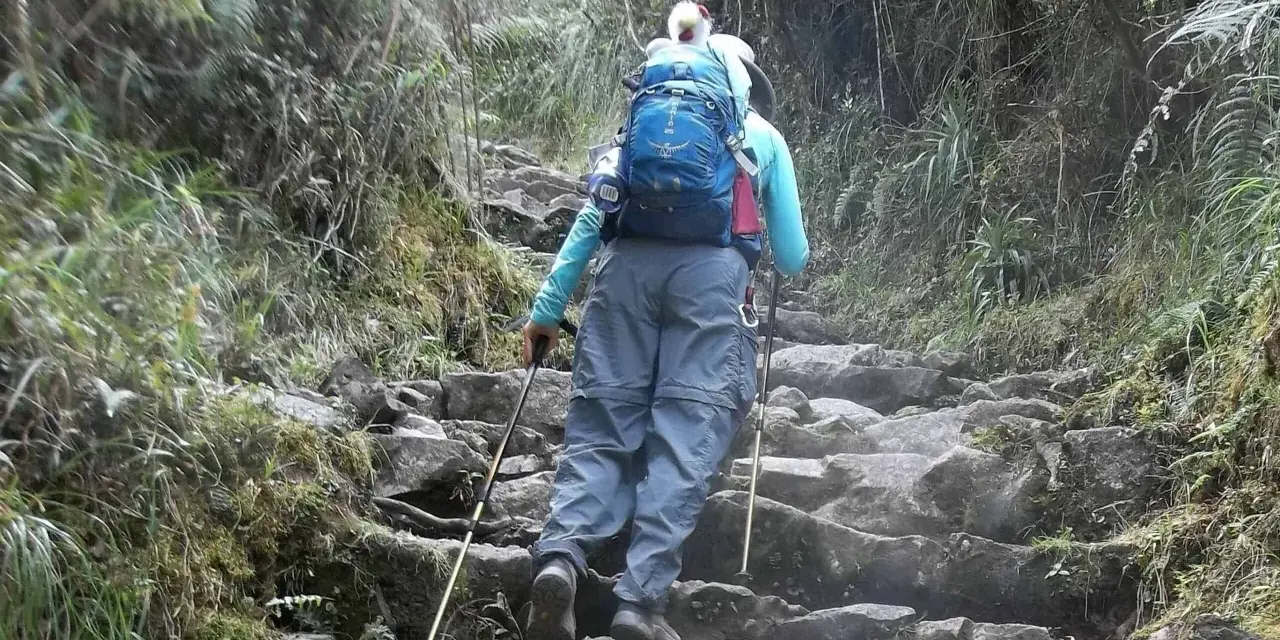A hiker with a blue backpack ascends a rocky, overgrown path, using trekking poles for support. This is excellent training for hiking.