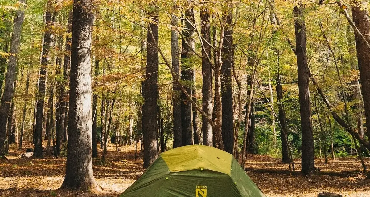 A green tent sits in a forest clearing, surrounded by trees with autumn leaves. This scene evokes the feeling of visiting one of the best national parks to visit in October.