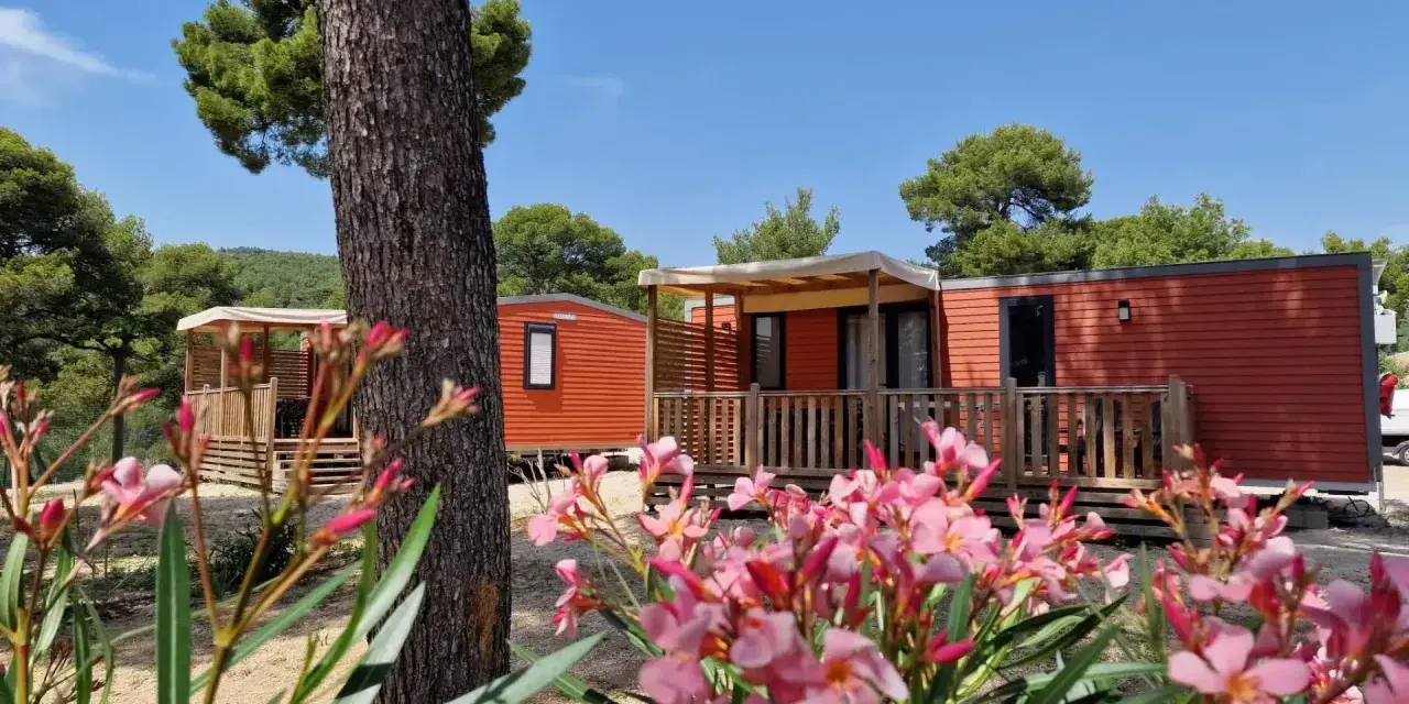 Bright orange mobil home units nestled among trees, with a foreground of blooming pink flowers.