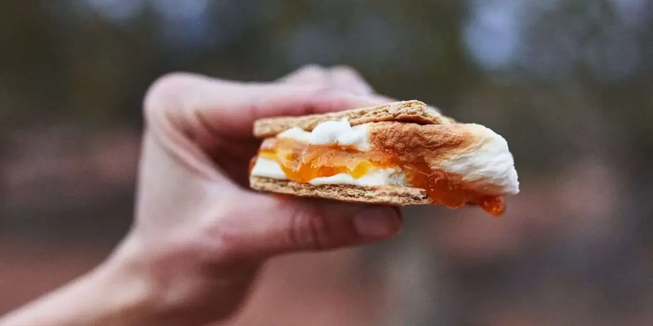 A hand holds a gooey white chocolate s'more, its toasted marshmallow and jam oozing out.