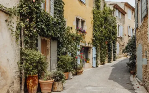 Charming street in a vakantiepark Provence, with ivy-covered buildings, potted plants, and blue shutters.
