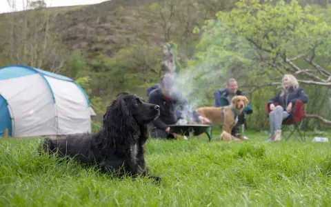 A black dog enjoys a camping trip with people around a campfire.