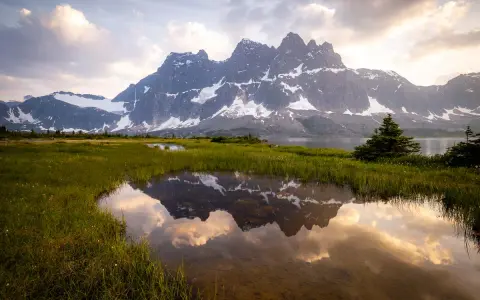 A serene reflection of jagged, snow-capped mountains in a calm pool of water in Tonquin Valley. Lush green grass surrounds the water, with a few scattered wildflowers.