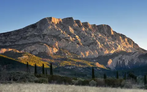 The majestic Sainte Victoire mountain range bathed in golden sunlight, with cypress trees standing tall in the foreground.