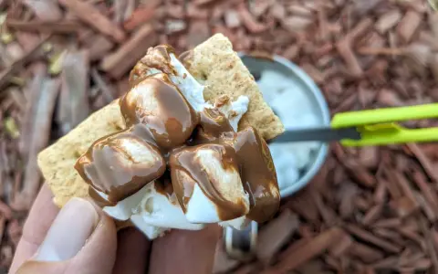A hand holds a graham cracker topped with melted marshmallows and chocolate, ready to be assembled into a s'more. A pan of marshmallows is visible in the background.