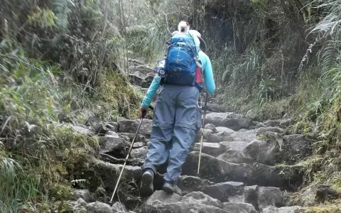 A hiker with a blue backpack ascends a rocky, overgrown path, using trekking poles for support. This is excellent training for hiking.