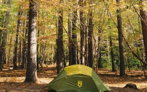 A green tent sits in a forest clearing, surrounded by trees with autumn leaves. This scene evokes the feeling of visiting one of the best national parks to visit in October.