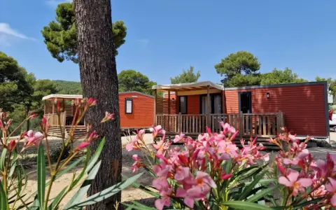 Bright orange mobil home units nestled among trees, with a foreground of blooming pink flowers.