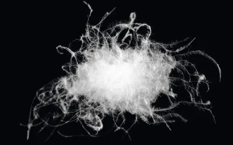 A fluffy cluster of white duck down, showcasing its soft, wispy structure. This image captures the essence of duck down meaning: pure, light, and insulating.