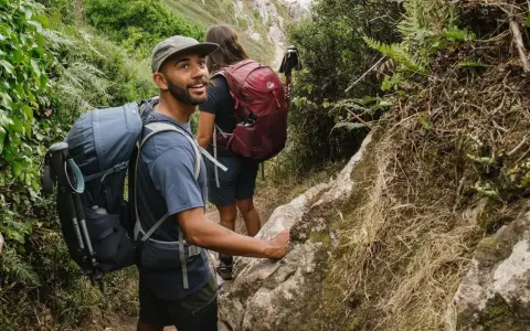 Hikers enjoy a summer trail, showcasing what to wear hiking in summer: breathable shirts, shorts, and backpacks.