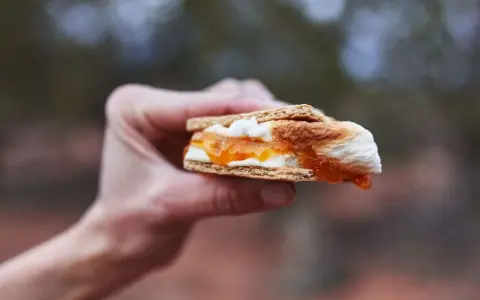 A hand holds a gooey white chocolate s'more, its toasted marshmallow and jam oozing out.