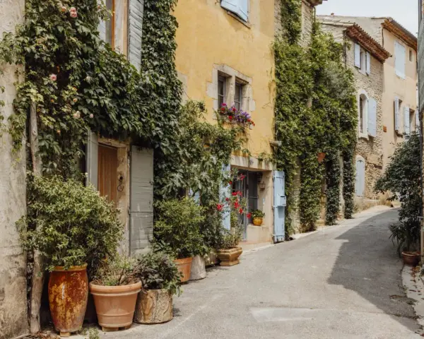 Charming street in a vakantiepark Provence, with ivy-covered buildings, potted plants, and blue shutters.