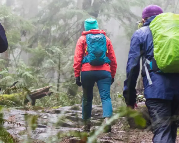 Three hikers, clad in bright rain gear and backpacks, trek through a misty, green forest. They are hiking in the rain, embracing the damp, atmospheric trail.