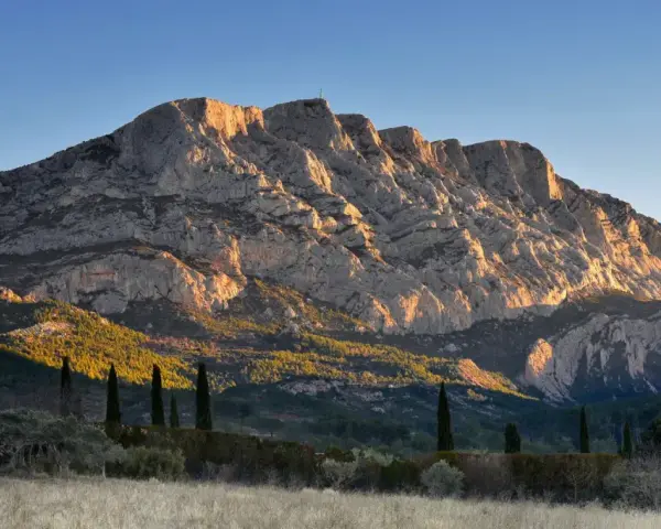 The majestic Sainte Victoire mountain range bathed in golden sunlight, with cypress trees standing tall in the foreground.