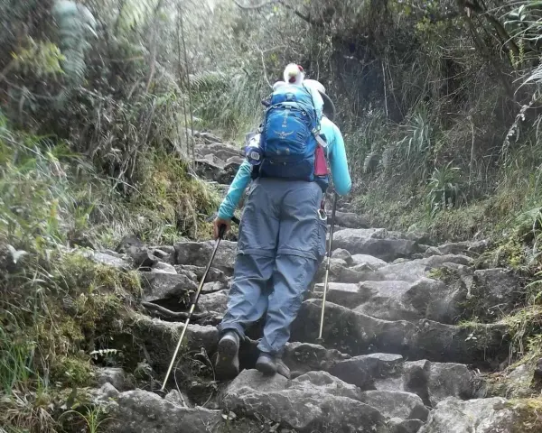 A hiker with a blue backpack ascends a rocky, overgrown path, using trekking poles for support. This is excellent training for hiking.