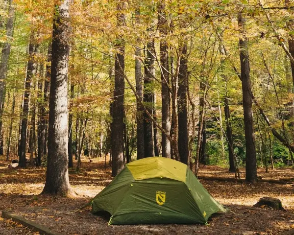 A green tent sits in a forest clearing, surrounded by trees with autumn leaves. This scene evokes the feeling of visiting one of the best national parks to visit in October.