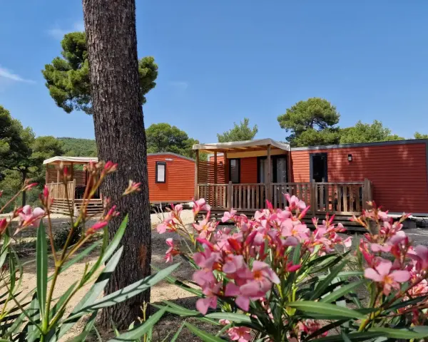 Bright orange mobil home units nestled among trees, with a foreground of blooming pink flowers.