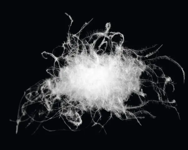 A fluffy cluster of white duck down, showcasing its soft, wispy structure. This image captures the essence of duck down meaning: pure, light, and insulating.