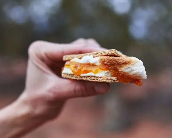 A hand holds a gooey white chocolate s'more, its toasted marshmallow and jam oozing out.