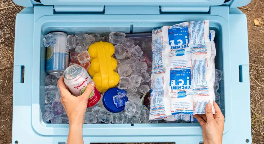 Hands packing a cooler with ice, cans, and reusable ice packs. This shows how to pack a cooler for a perfect picnic.