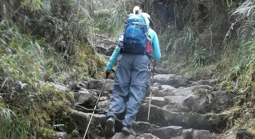 A hiker with a blue backpack ascends a rocky, overgrown path, using trekking poles for support. This is excellent training for hiking.