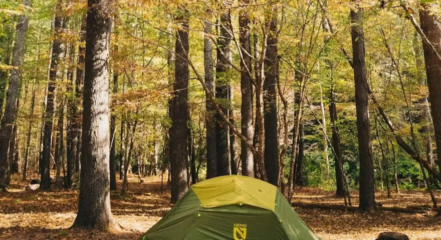 A green tent sits in a forest clearing, surrounded by trees with autumn leaves. This scene evokes the feeling of visiting one of the best national parks to visit in October.