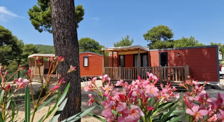 Bright orange mobil home units nestled among trees, with a foreground of blooming pink flowers.
