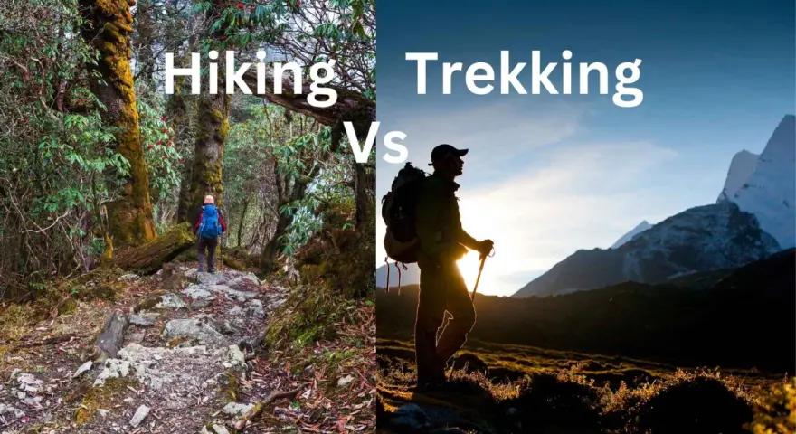Hiking in a forest vs. trekking in mountains. The image illustrates what is the difference between hiking and trekking.