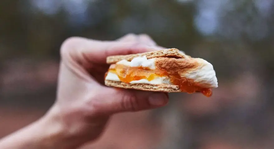 A hand holds a gooey white chocolate s'more, its toasted marshmallow and jam oozing out.