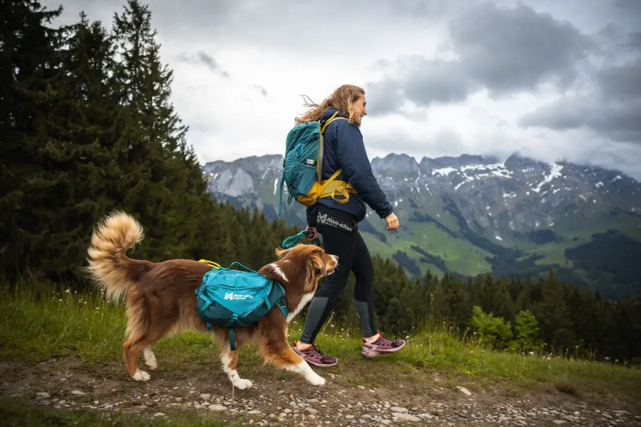 A woman and her dog, both equipped with backpacks, enjoy hiking through a scenic mountain landscape.