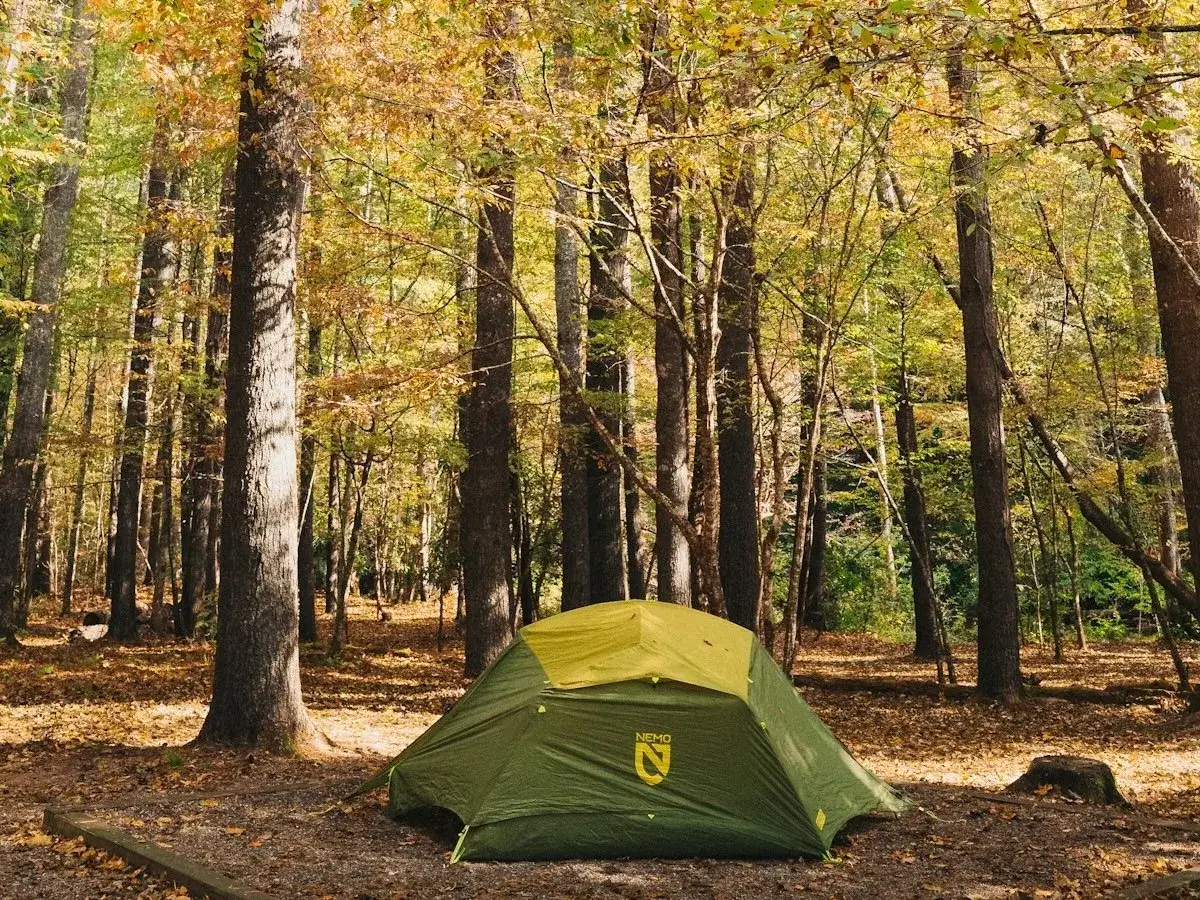 A green tent sits in a forest clearing, surrounded by trees with autumn leaves. This scene evokes the feeling of visiting one of the best national parks to visit in October.