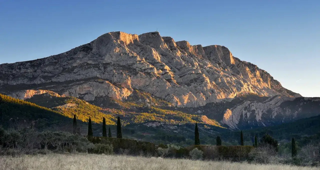 The majestic Sainte Victoire mountain range bathed in golden sunlight, with cypress trees standing tall in the foreground.