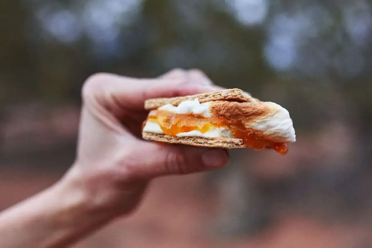 A hand holds a gooey white chocolate s'more with melted marshmallow and orange jam.