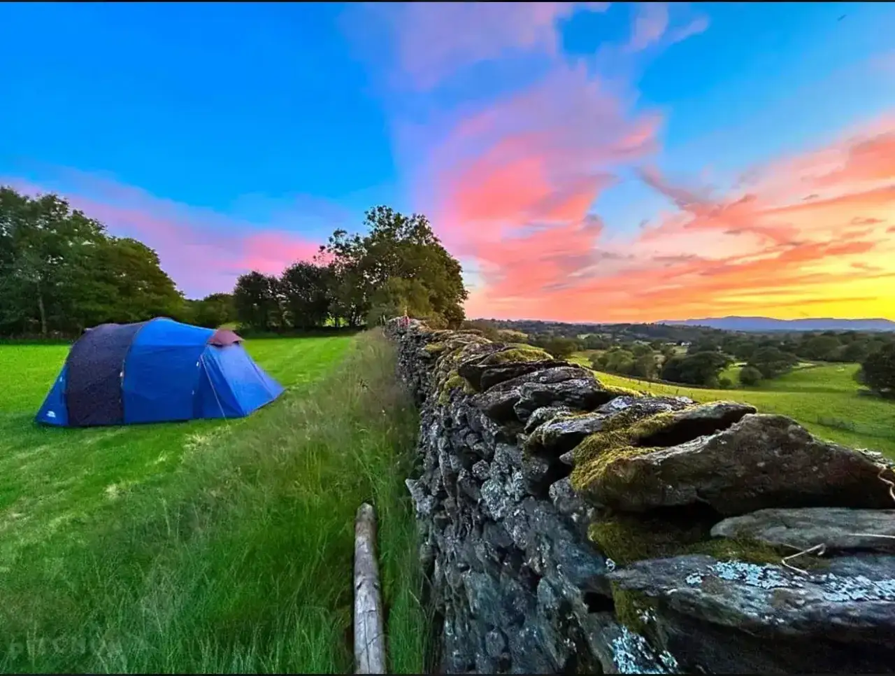 A blue tent is set up for solo camping in a grassy field, with a mossy stone wall in the foreground and a vibrant sunset sky.