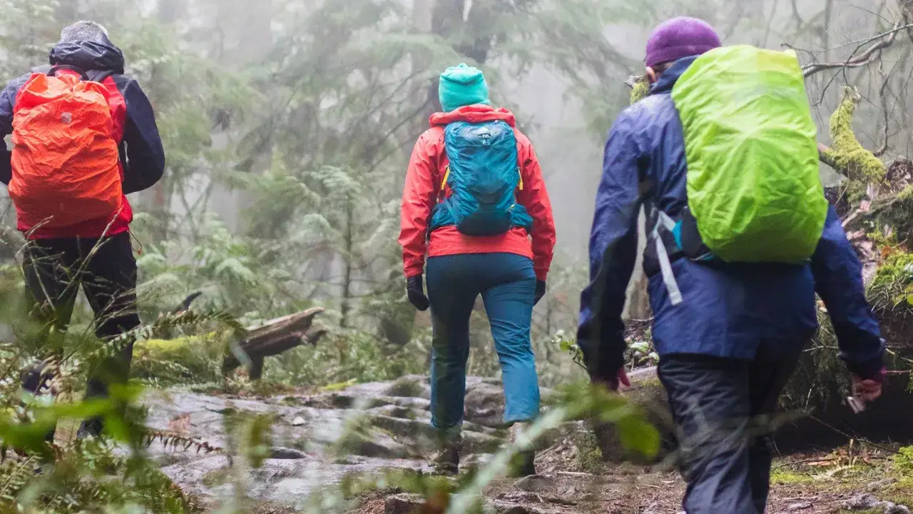 Three hikers with colorful backpacks trek through a misty forest, embracing the challenge of hiking in the rain.