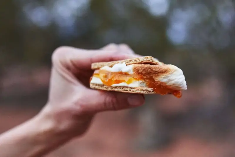 A hand holds a gooey white chocolate s'more, its toasted marshmallow and jam oozing out.